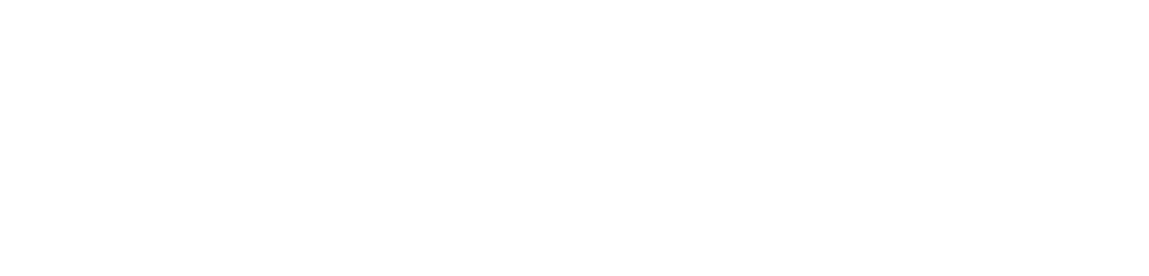Logo blanc du GHNE (Groupement Hospitalier Nord Essonne) sur fond transparent